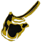 La Cote D'Or logo